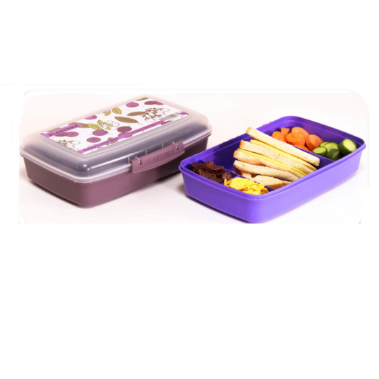 Bento Lunch Box 1.760 Liters 4-Compartment Plastima