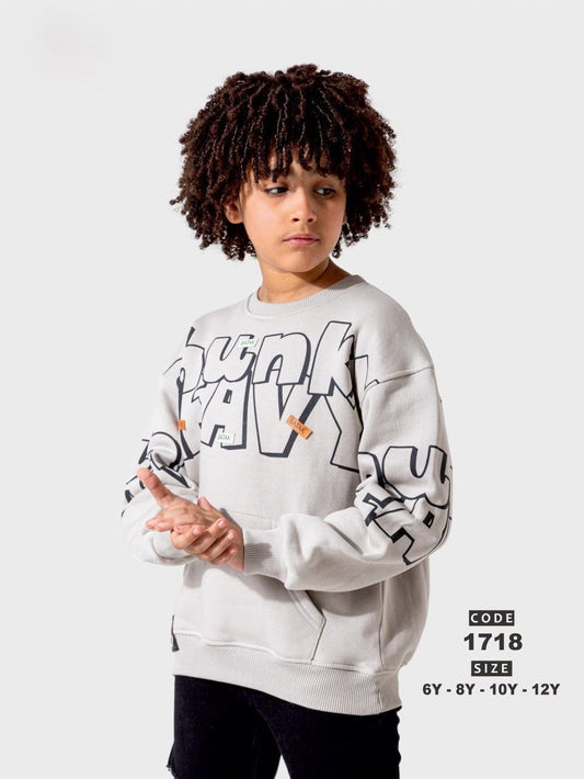 Heavy  printed sweatshirt