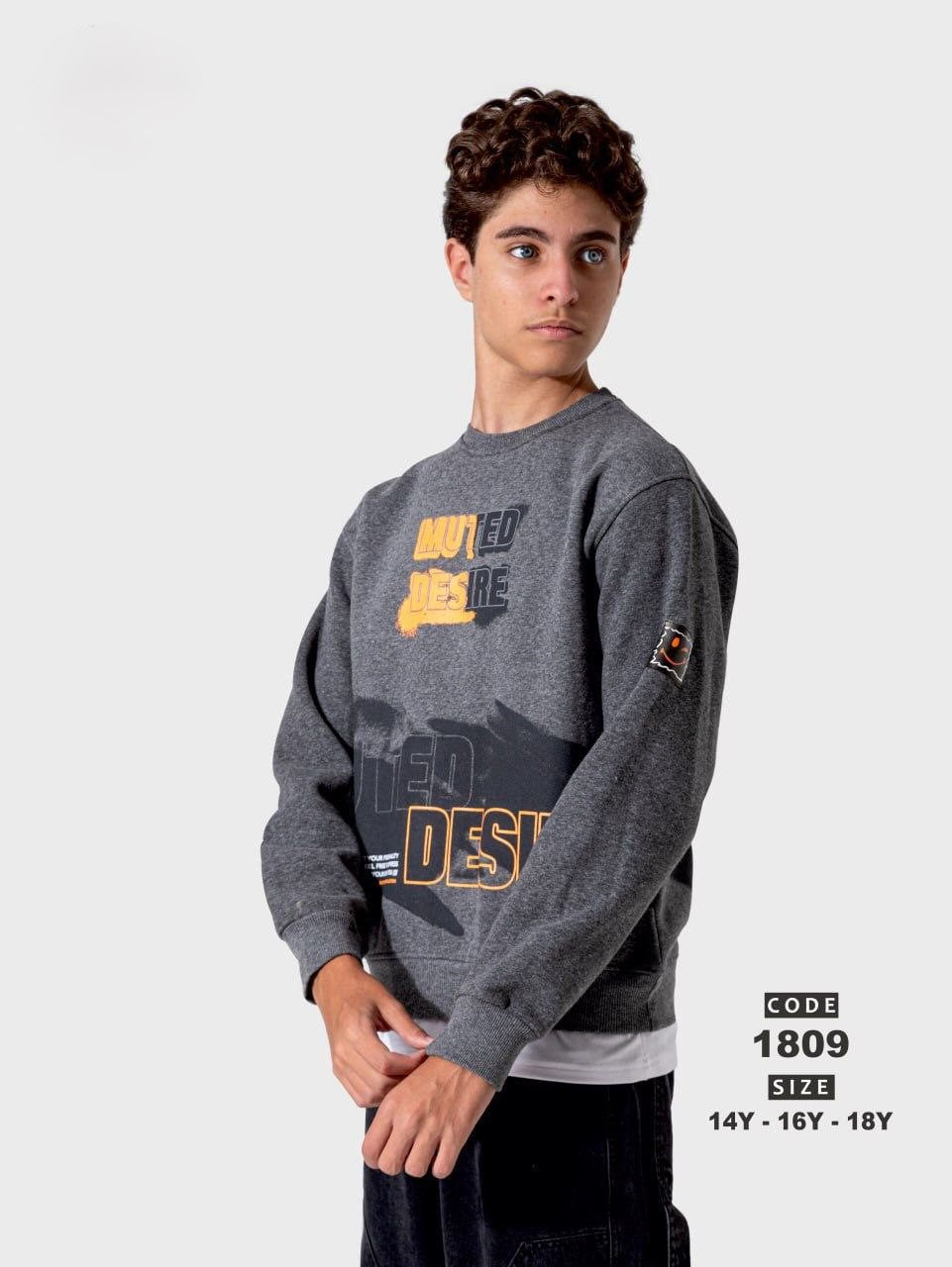 Boy's hoodies & sweatshirts