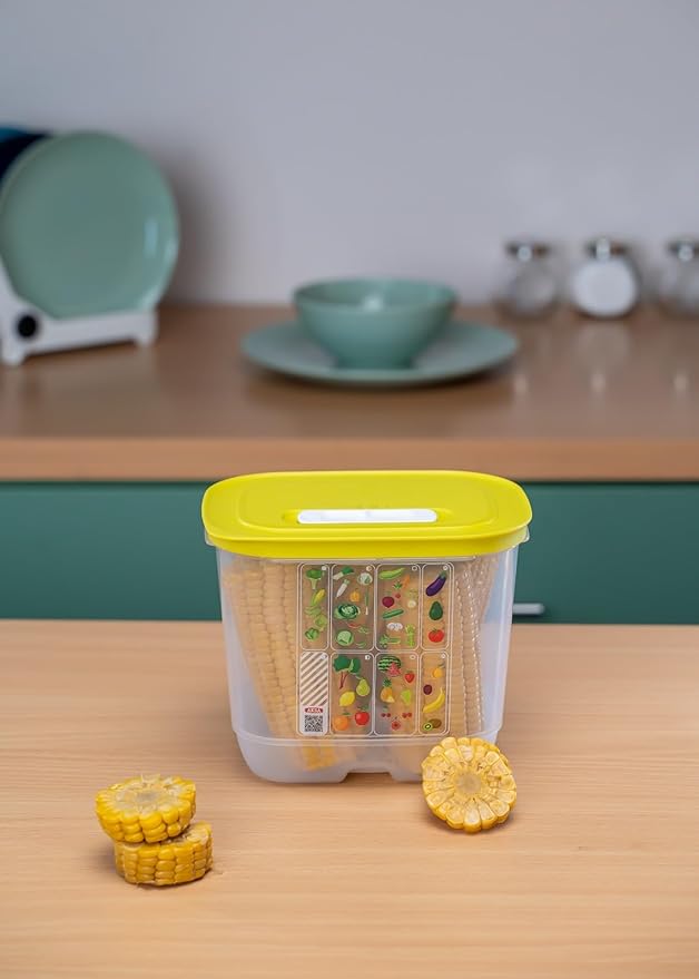 " Aksa Plastic Rectangular Veggie Container, 2 Liter Capacity, Clear "