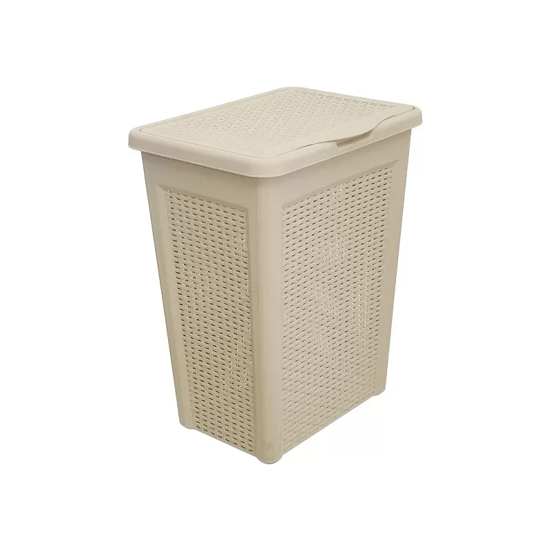 Axa Laundry Basket Papia 50 Liters A