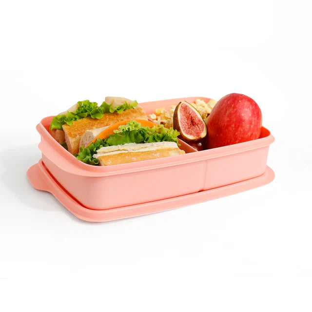 علبة غداء مقسمة سعة لتر واحد