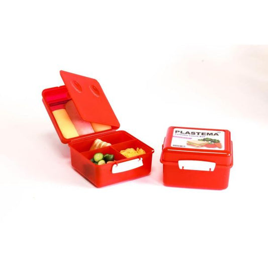 Foldable Food Box 2 Liters 2 Tiers Divided 4 - Plastema