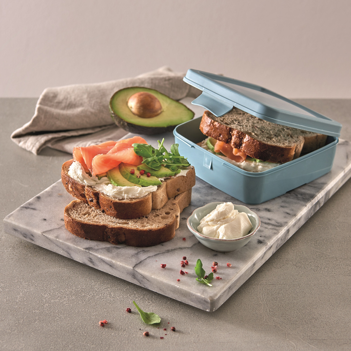 مقص / بلاستيك (علبة سندويشات 0.5 لتر ...