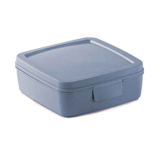 Snips / Plastic ( SANDWICH BOX 0,5 LITER ...