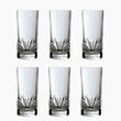 Aurea Set of 6 Large Tumblers 320 ml